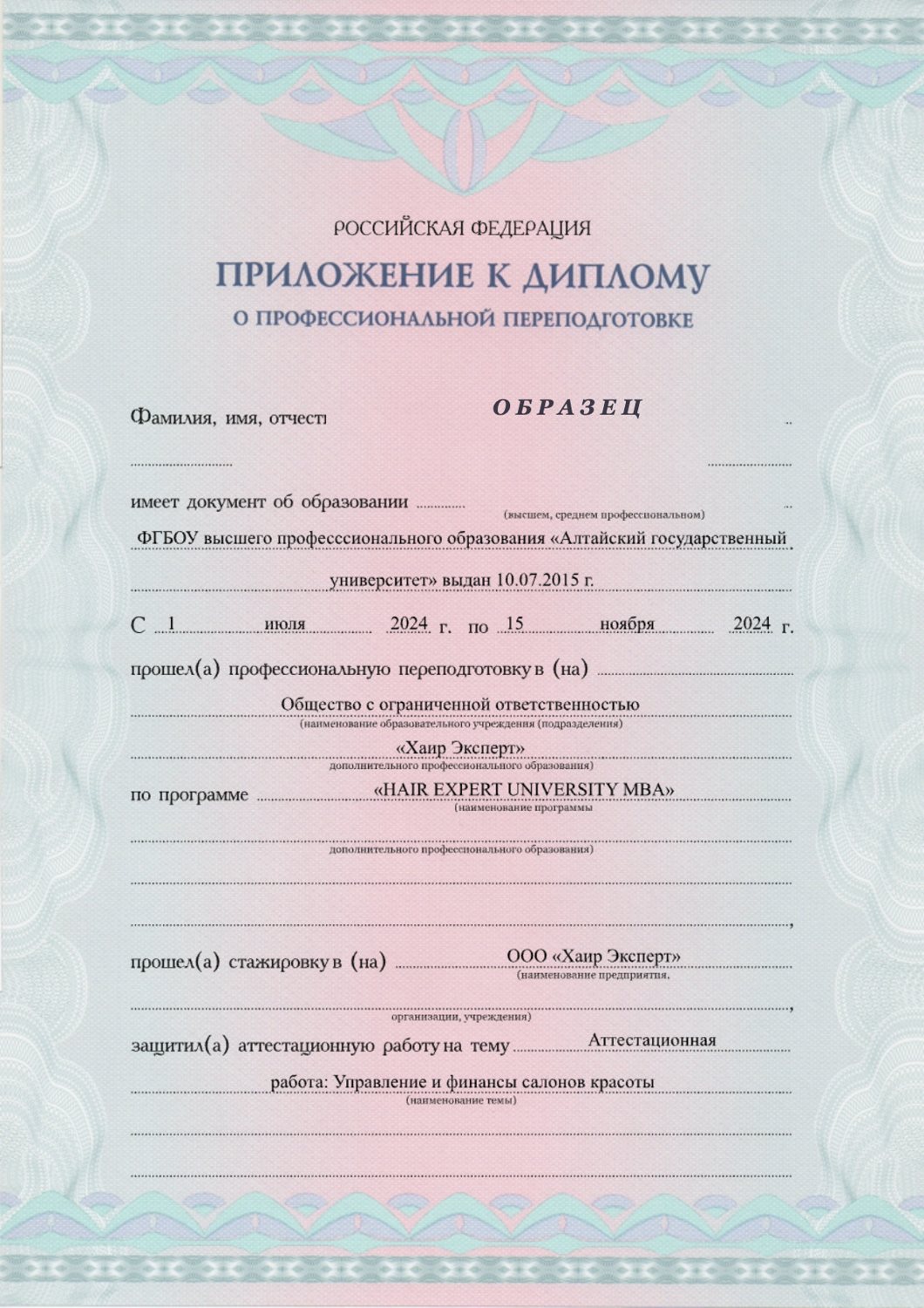 Приложение к диплому ДПО MBA бизнес, страница 1