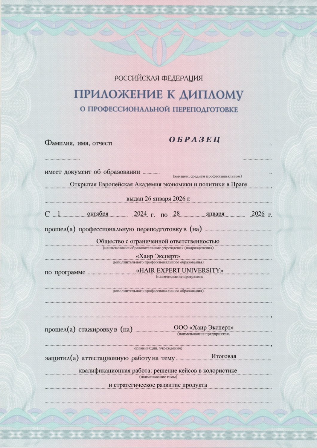 Приложение к диплому ДПО HEU, страница 1